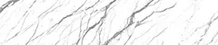 04_0030_n.png
