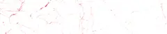 04_0051_n.png