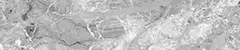 04_0061_n.png