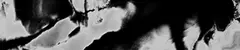 04_0081_n.png