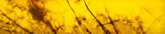 04_0095_n.png