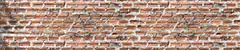 05_0010_n.png