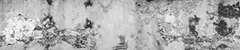 05_0024_n.png
