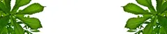 06_0002_n.png