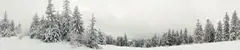 06_0256_n.jpg