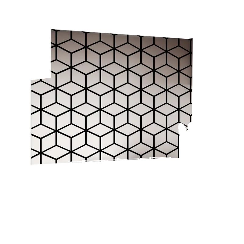 01-0003_Z