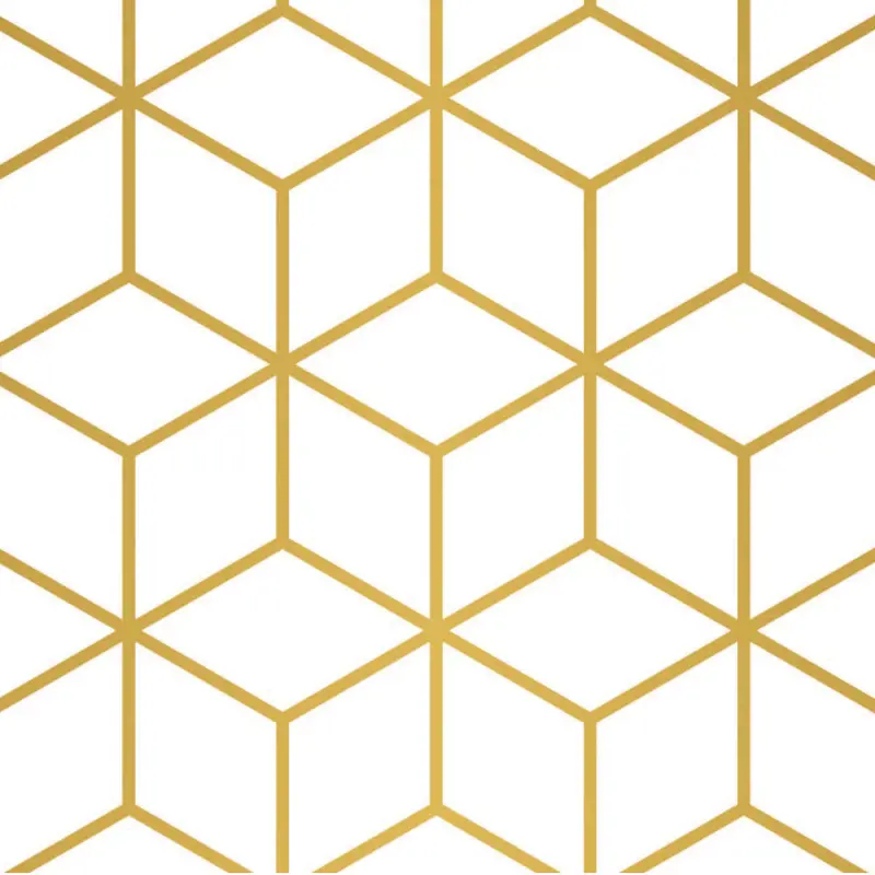 01-0005