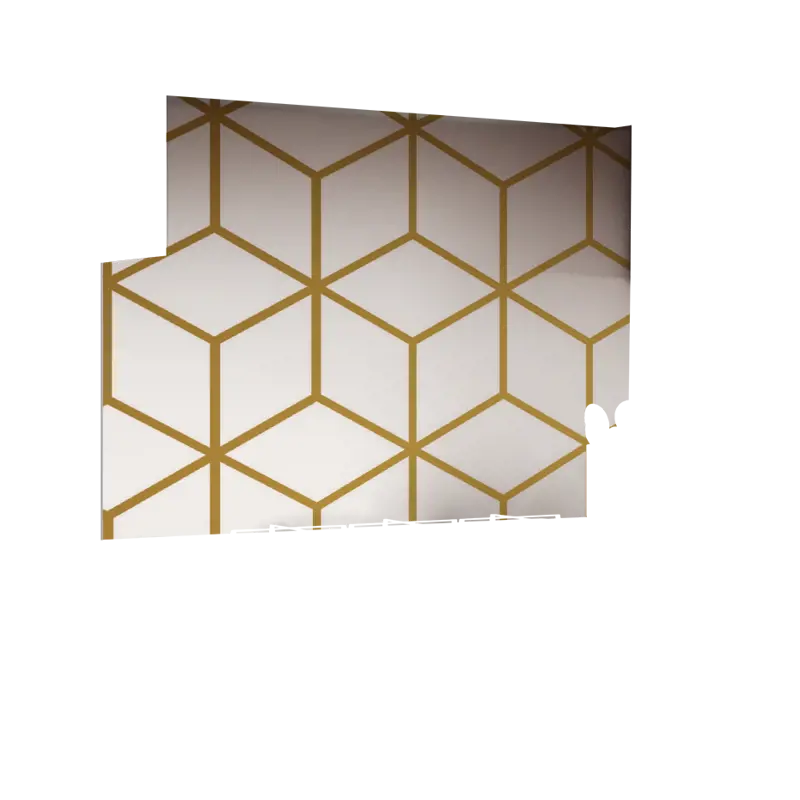 01-0005_Z