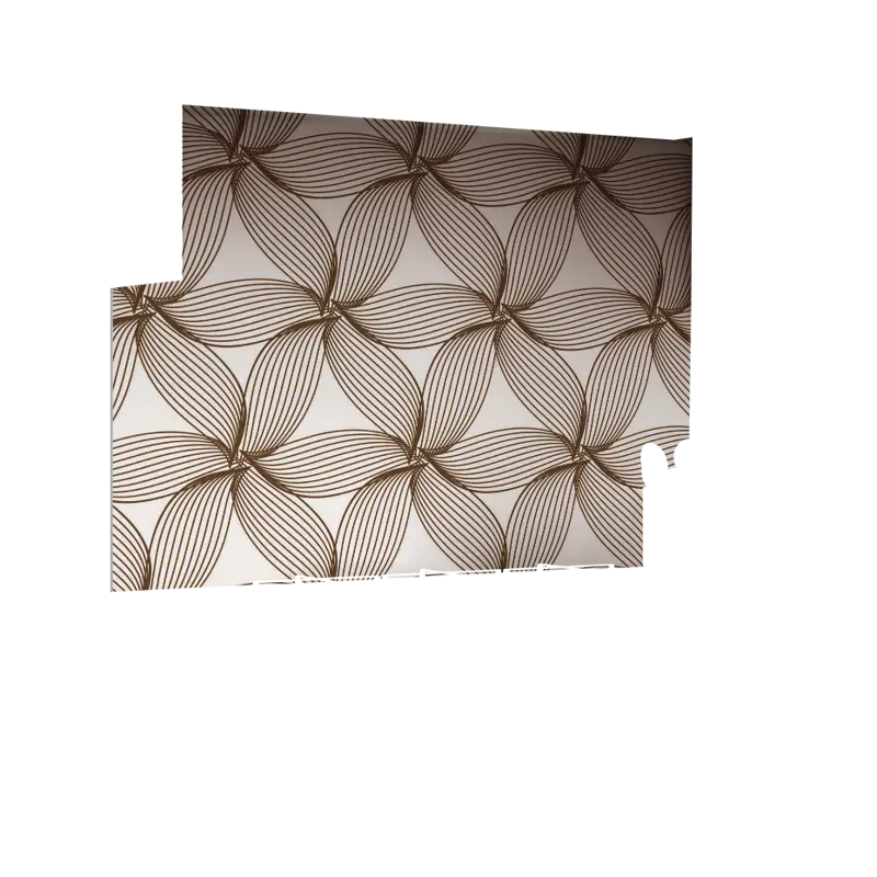 01-0006_Z