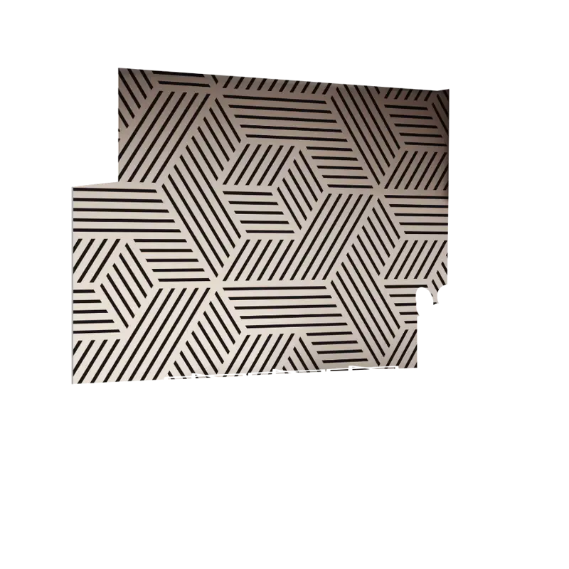 01-0007_Z