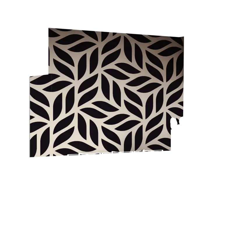 01-0009_Z