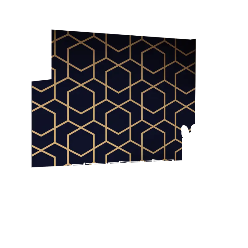 01-0016_Z