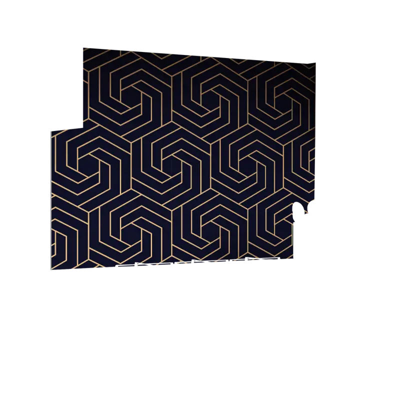 01-0021_Z