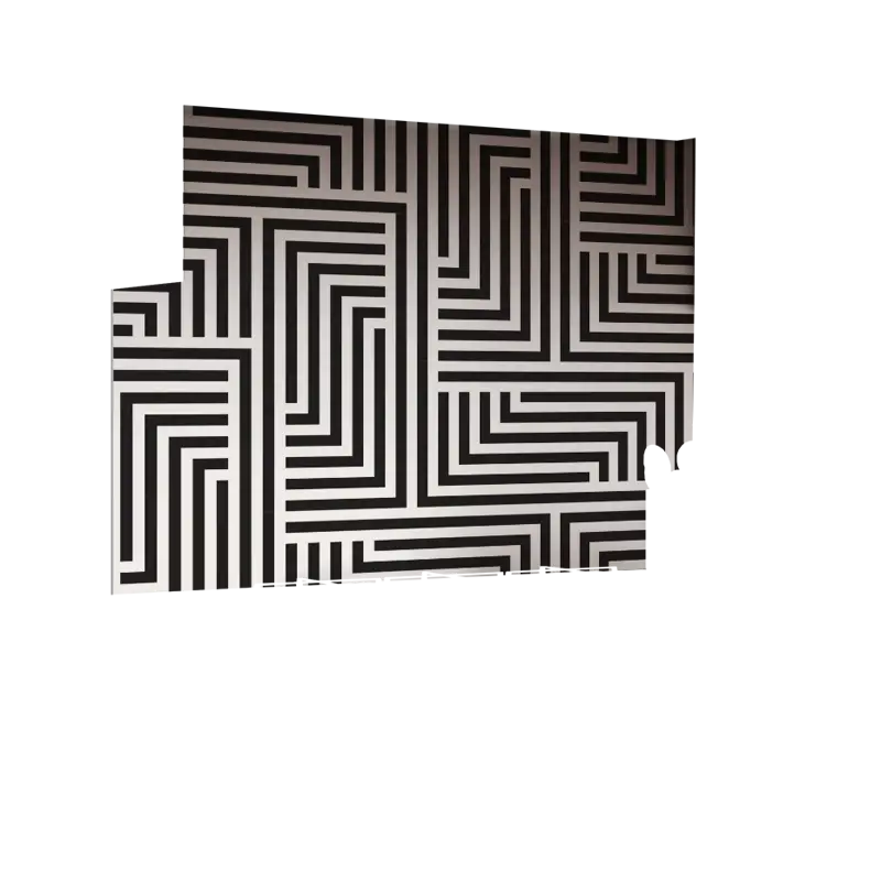 01-0029_Z