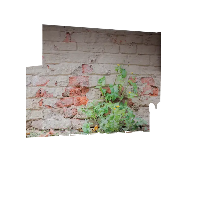 05_0006_Z