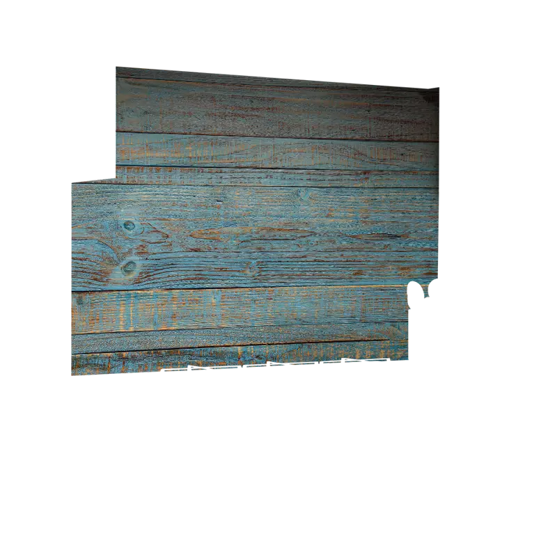 05_0029_Z