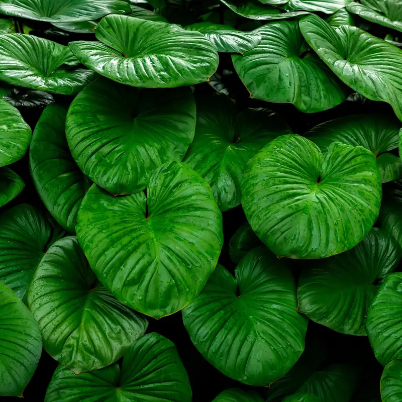 06_0003