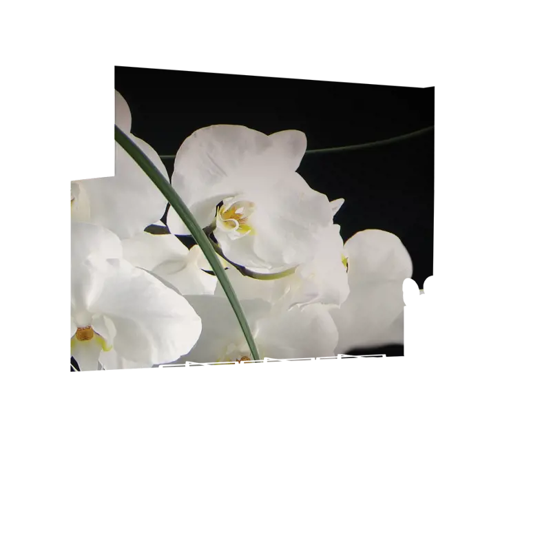 06_0009_Z
