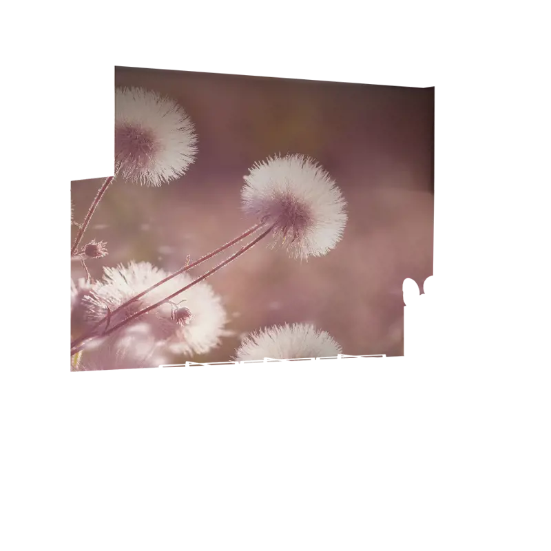06_0011_Z