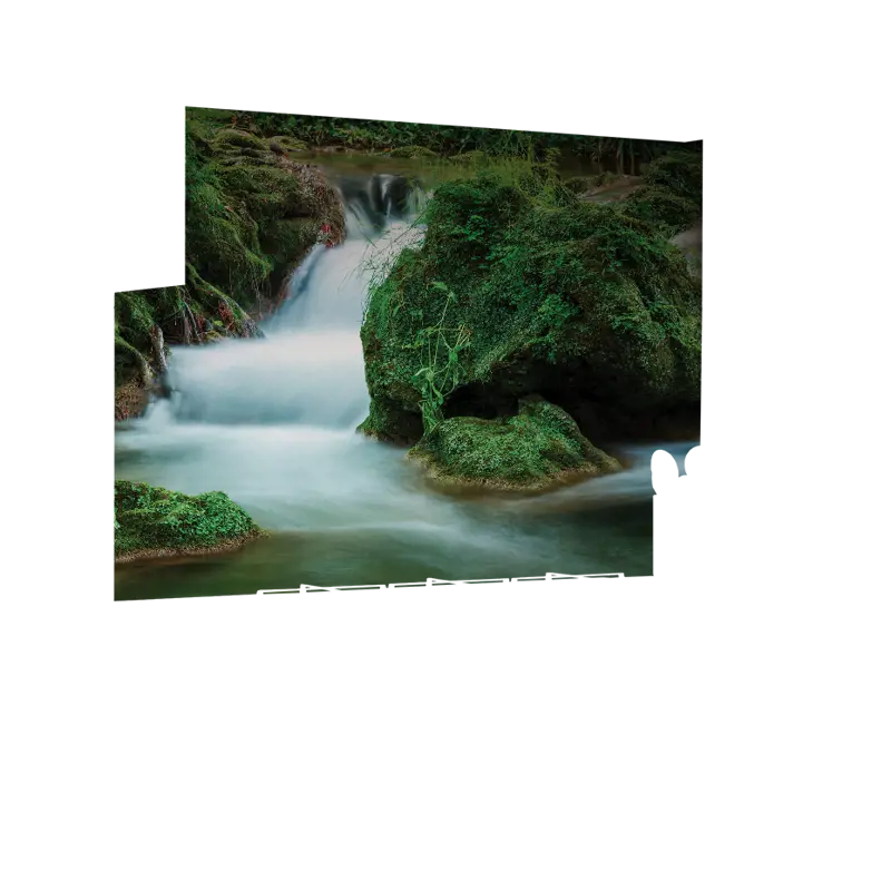 06_0019_Z