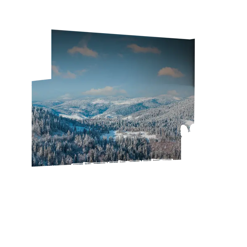 06_0020_Z